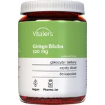 Vitalers Ginkgo Biloba 120 mg 60 cps.