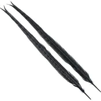 Veniard Cock Pheasant Centre Tail Black