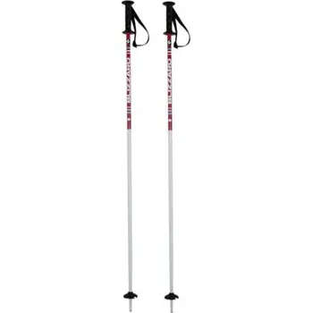 Lyžování Blizzard Race junior ski poles white/pink Velikost 80 cm