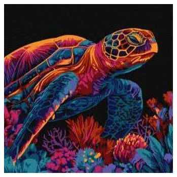 Set školních potřeb Malowanie po numerach - Tajemniczy żółw 30x30cm