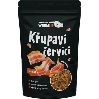 Slaná pochutina WormUP sušení červíci - Slanina 20g