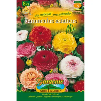 Semeno Pryskyřník 8ks, cibulovina