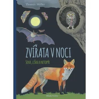 Zvířata v noci