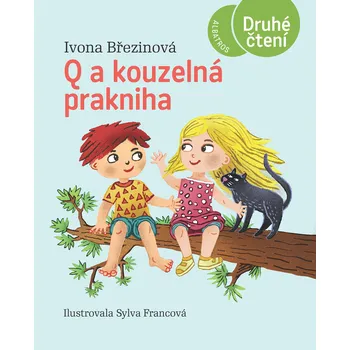 Kniha Q a kouzelná prakniha