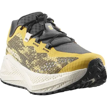 Dámská běžecká obuv Salomon Aero Glide 4 Grvl W L49213800 - beach ball/asphalt/vanilla ice 39 1/3