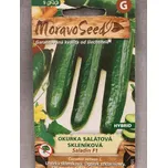 Okurka salátová skleníková SALADIN F1