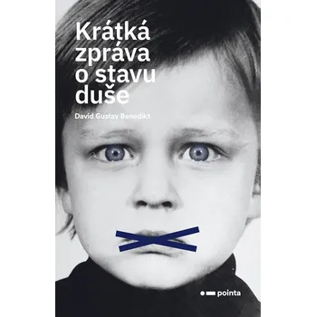 Krátká zpráva o stavu duše