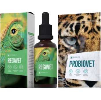 Energy Regavet 30 ml + Probiovet 90 cps KLUBOVÁ CENA: jsem členem (číslo zák. karty uveďte do poznámky pro prodejce)