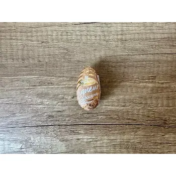 Čokoláda Figaro Vajíčko Liqueur Cappuccino 27.5g