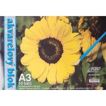 Dětské zboží Akvarelový blok A3, čistý 10 listů,