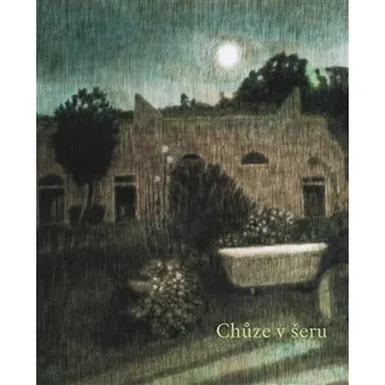 Kniha Alžběta Skálová: Chůze v šeru a jiné příběhy