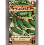 Okurka nakládačka hruboostná ORFEUS F1