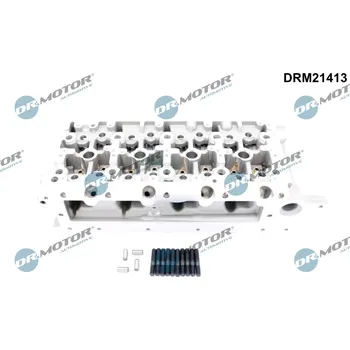 Motor automobilu Hlava válce Dr.Motor Automotive DRM21413
