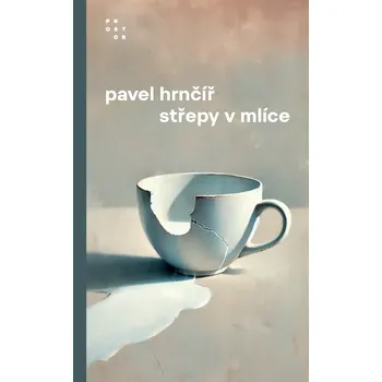 Střepy v mlíce - Pavel Hrnčíř [čeština] [E-kniha]