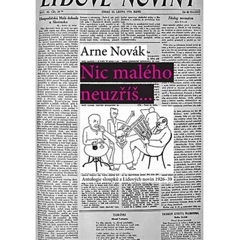 Nic malého neuzříš... Antologie sloupků z Lidových novin 1926-39