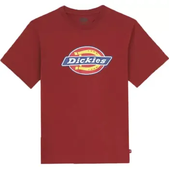 Pánské tričko DICKIES ICON LOGO T-SHIRT FIRED BRICK vel. XL