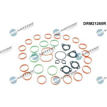 Auto-moto Sada těsnění, koleno sacího potrubí Dr.Motor Automotive DRM21260R