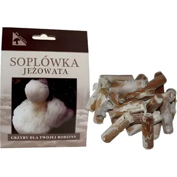 Substrát Planto Korálovec ježatý na kolíčcích 20 ks