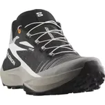 Salomon Genesis pánská běžecká obuv Black/Alloy/Turmeric vel. 42 (UK 8)