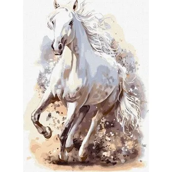 Set školních potřeb Malowanie po numerach - Wyrafinowana moc 30x40cm