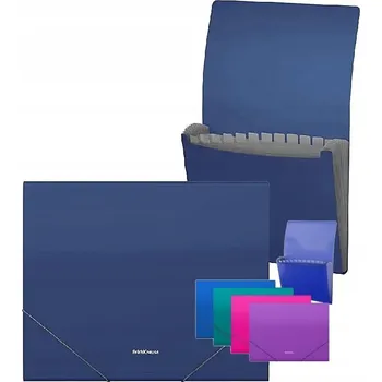 Plastová složka A4 s gumou, 12 přihrádek, matná, kancelářská, na dokumenty