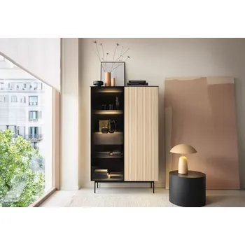 Knihovna Vitrína Orta WTSZ107 - dub vicenza