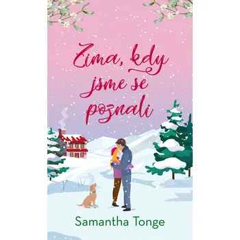 Kniha Zima, kdy jsme se poznali