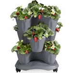 Květinová kaskáda TRIFOGLIO na kolečkách šedá