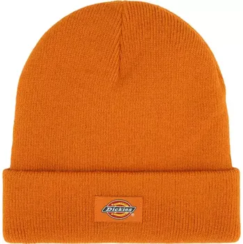 Čepice Čepice DICKIES GIBSLAND AUTUMN MAPLE