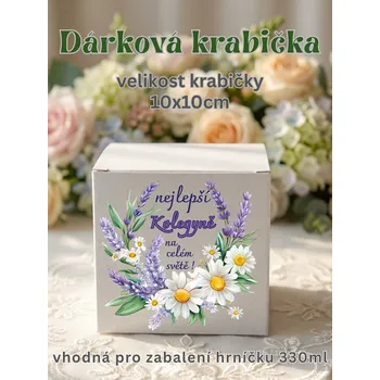 Krabička na výslužku krabička s potiskem Krabička, s potiskem, Nejlepší kolegyně, 10x10x10 cm, 1 ks