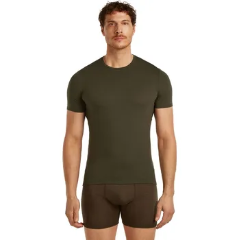 Pánská móda Pánské merino triko s krátkým rukávem ICEBREAKER Mens Anatomica SS Crewe, Dark Loden velikost: M