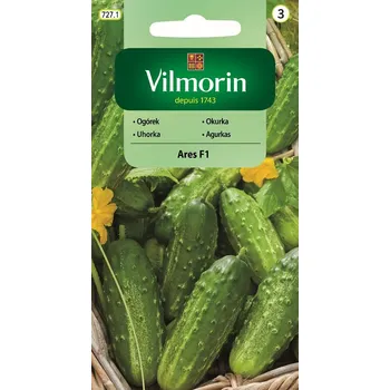 Semeno Okurka polní Ares F1