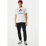 Columbia T-Shirt Graphic 2155031 Bílá Regular Fit XXL