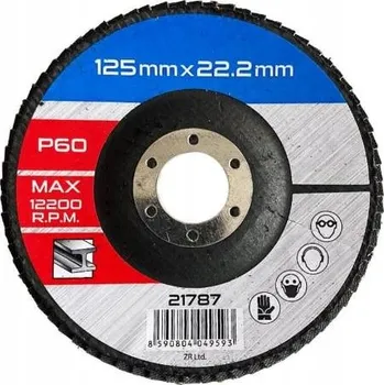 Brusný kotouč Kotouč lamelový brusný na kov, dřevo Ø 125 x 22,2 mm, zrnitost 60