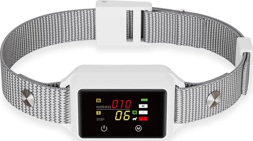 Patpet B800