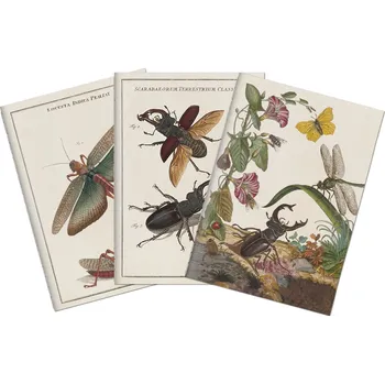 Blok Sada tří notýsků Insects