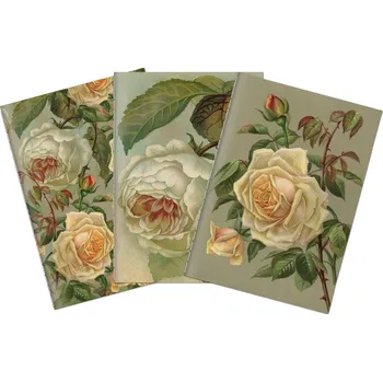 Blok Sada tří notýsků Yellow roses