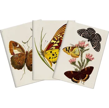 Blok Sada tří notýsků Butterflies