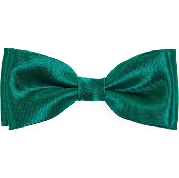 Chlapecká košile Avantgard Motýlek chlapecký zelená 533-787