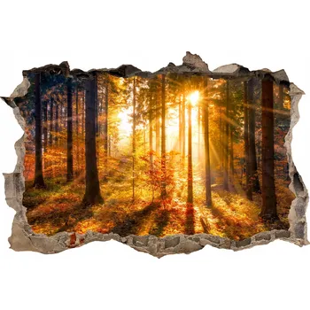 Fototapeta Nálepky na zeď s fototapetou, lesní díra