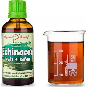 Echinacea ,bylinná tinktura