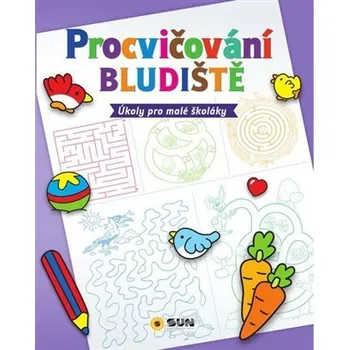 Procvičování - Bludiště