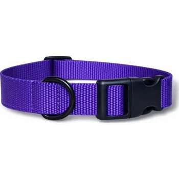 Obojek pro psa Popruhový obojek Basic - Fialová Šířka: 2 cm, Velikost obojku: S