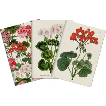 Blok Sada tří notýsků Geranium