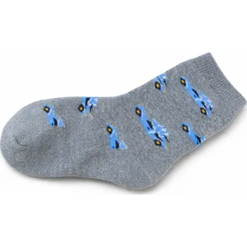 xcena Ponožky thermo šedé s autíčky Velikost: 25-29