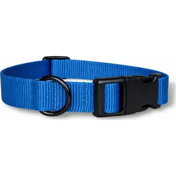 Obojek pro psa Popruhový obojek Basic - Tyrkysová Šířka: 1,5 cm, Velikost obojku: XXS