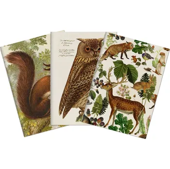 Blok Sada tří notýsků Forest Animals