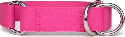 Softshellový obojek Martingale - Neon růžová Šířka: 2 cm, Velikost obojku: S