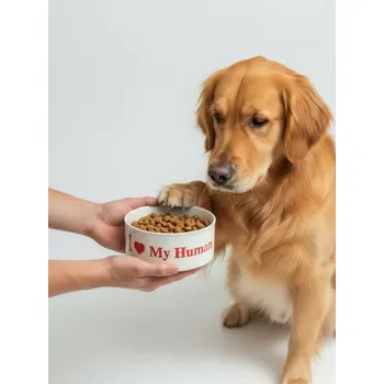 miska pro kočku Sinsay - Keramická miska pro mazlíčka s nápisem - krémová - 778IA-01P - 778IA-01P-ONE