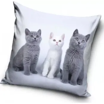 Dekorativní polštářek Carbotex Dekorační polštář Kočičí trio 40 x 40 cm